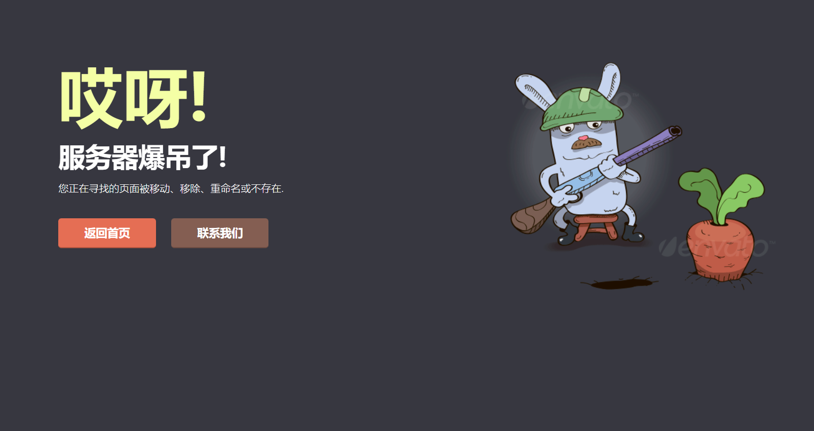 分享一款守萝卜的兔子404错误页面源码-安小熙博客-第1张图片